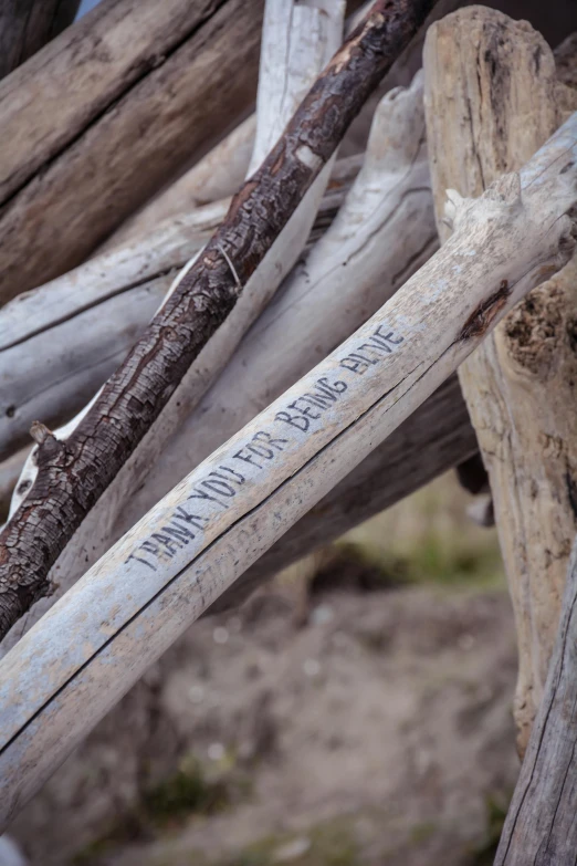 a very old broken toothbrush sitting on a piece of wood