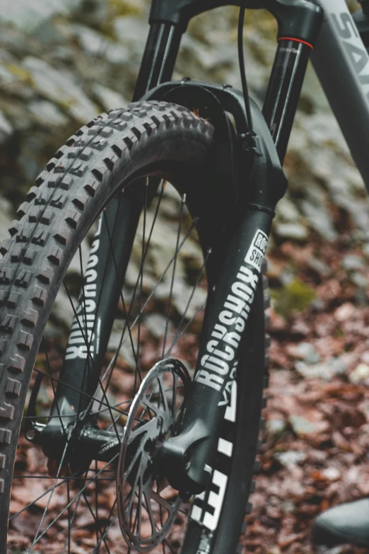 the front and rear tire of a mountain bike