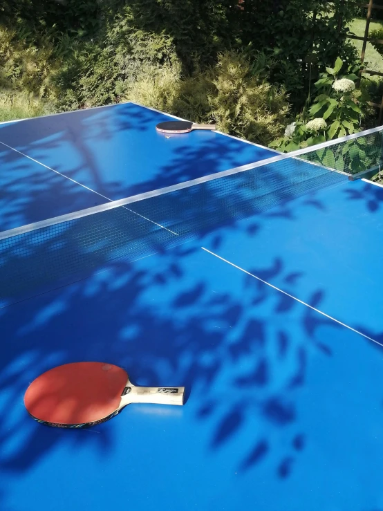 a ping pong table with a ping pong paddle in it