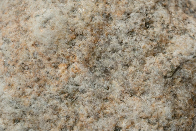 a close up of a large rock with black and white lichen