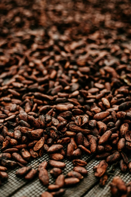 a pile of roasted beans sitting on a counter