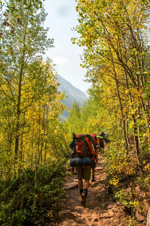 two people walking on a trail with packs