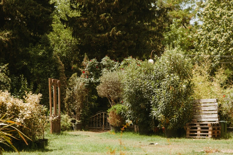 a wooden fence in the middle of some plants