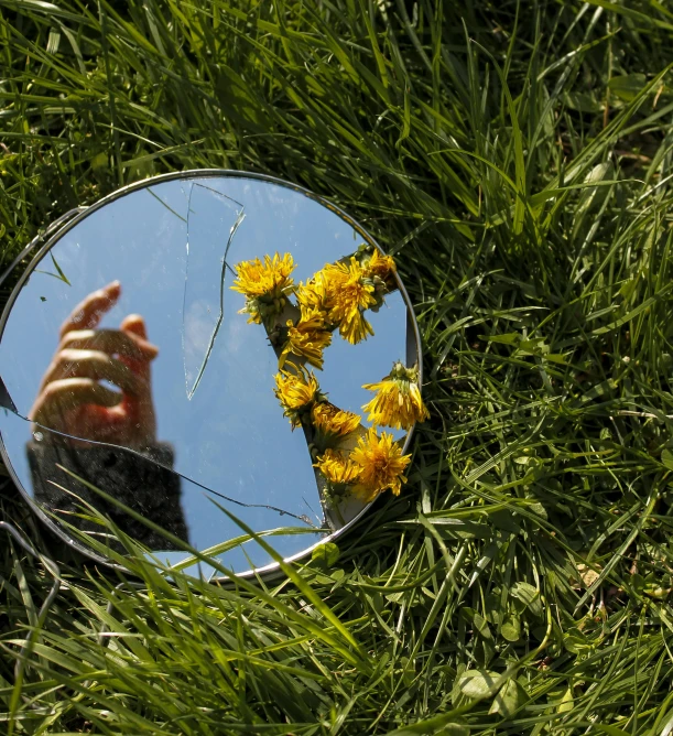 a person is holding a yellow flower in front of their mirror