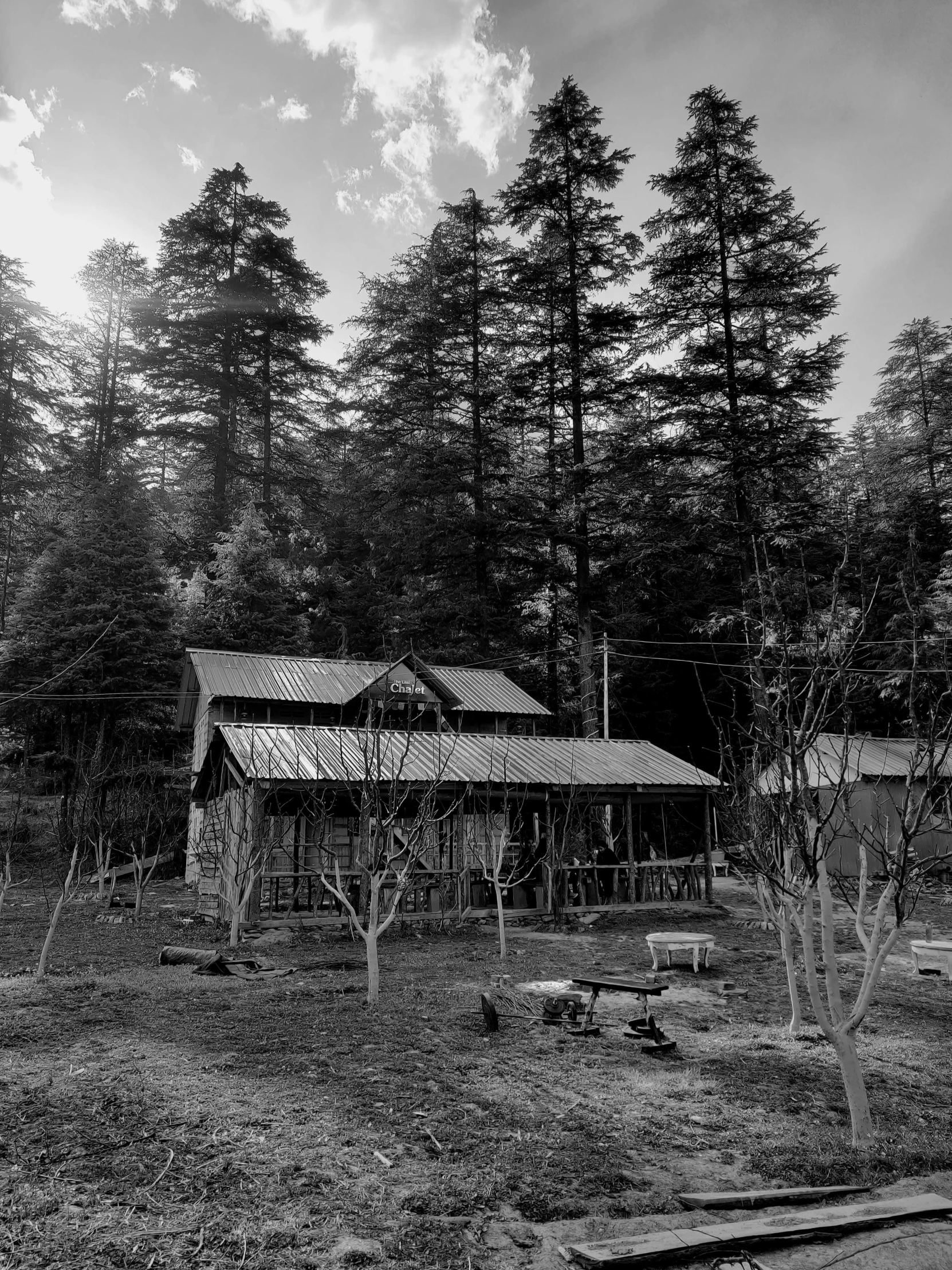 a house sits in front of a grove of trees