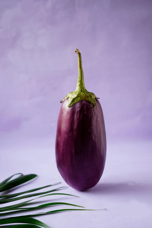 a purple eggplant sitting on top of a white table