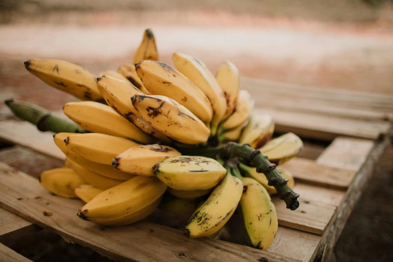 a bunch of bananas sitting on top of a wooden pallet