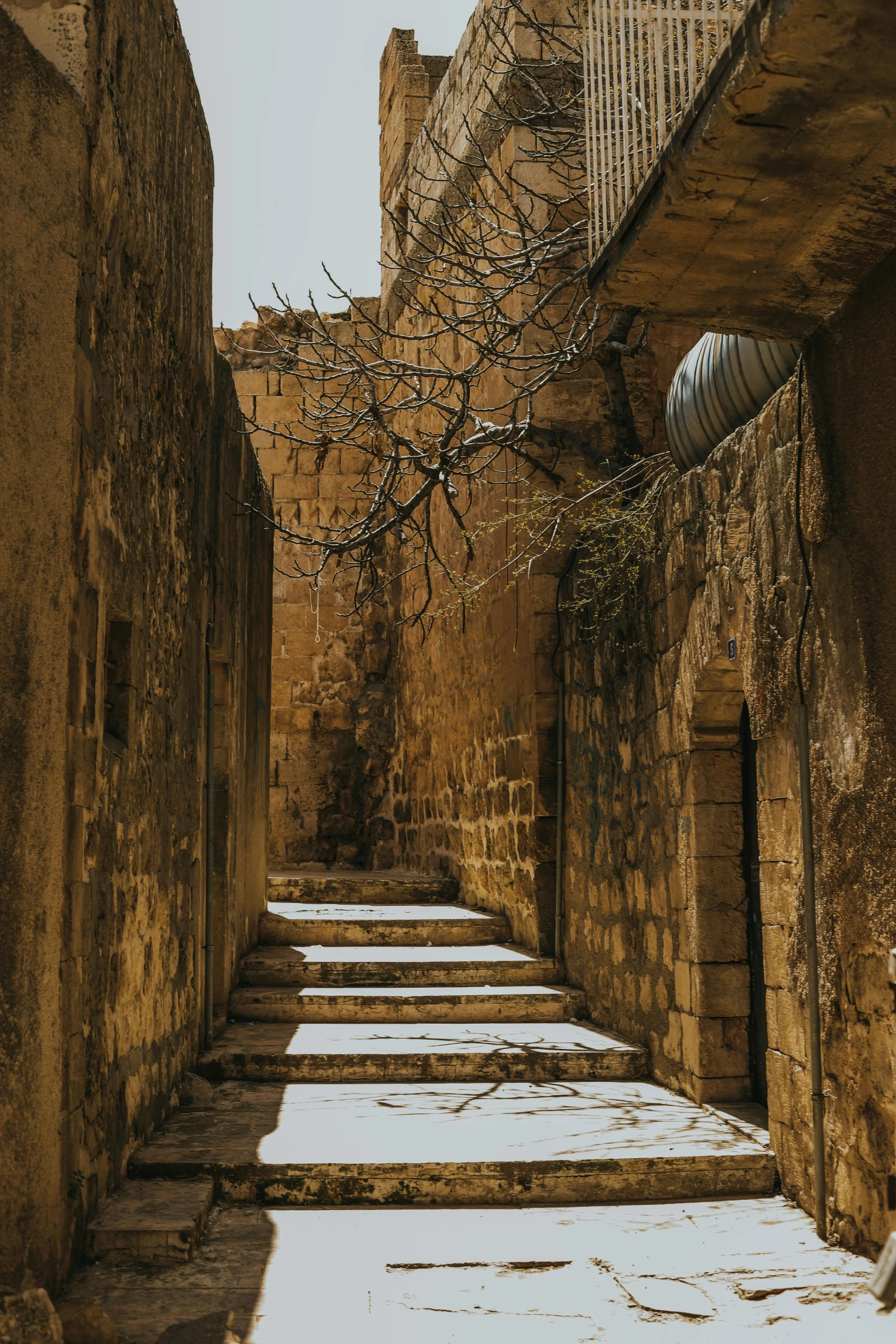 narrow street with brick walls and trees growing around