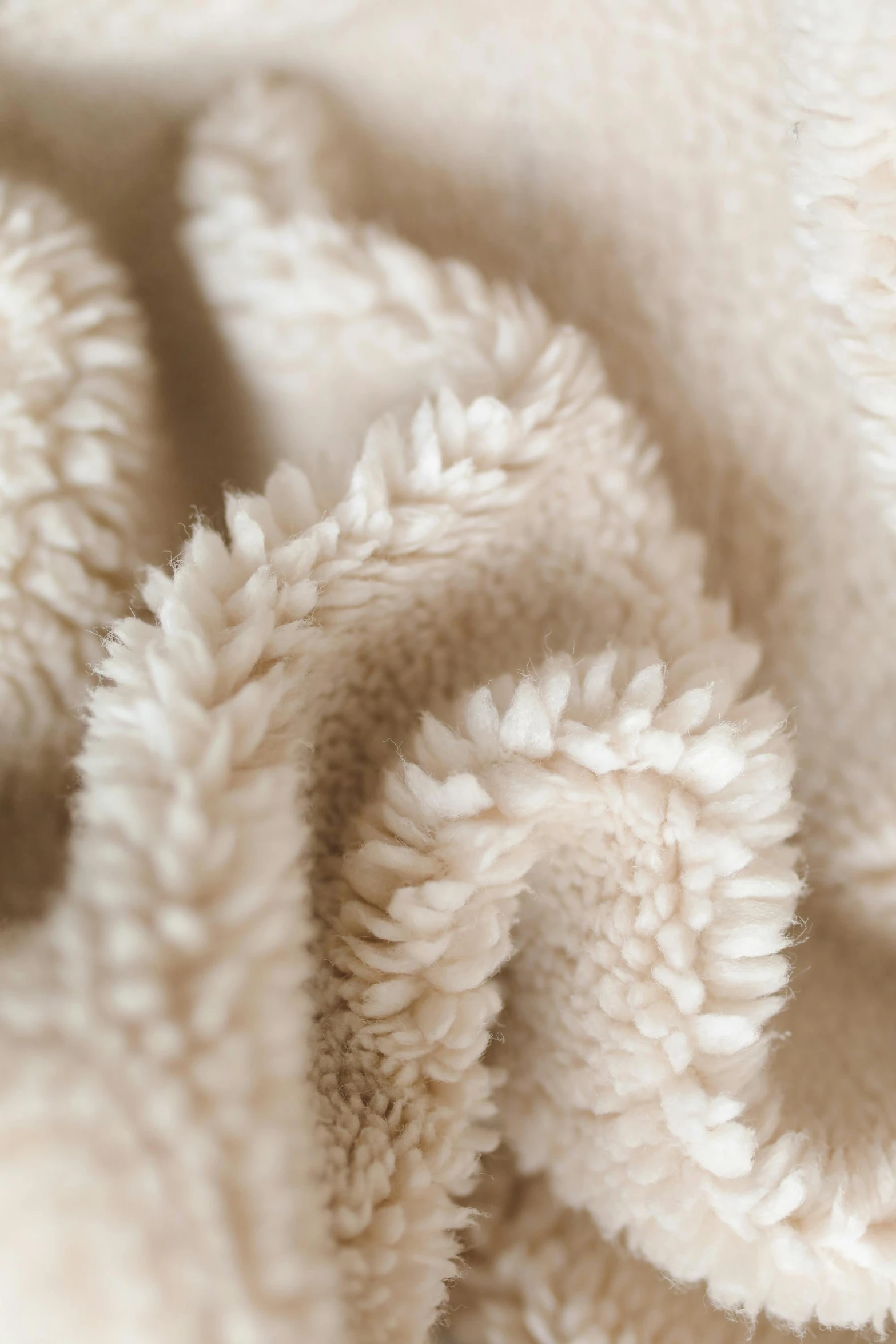 closeup view of cream colored woven fabric