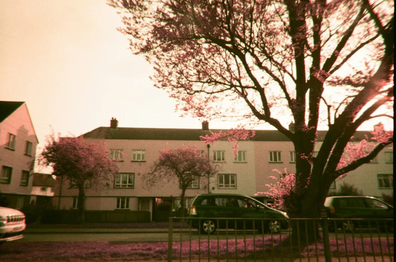 a brown brick house with pink trees in the foreground