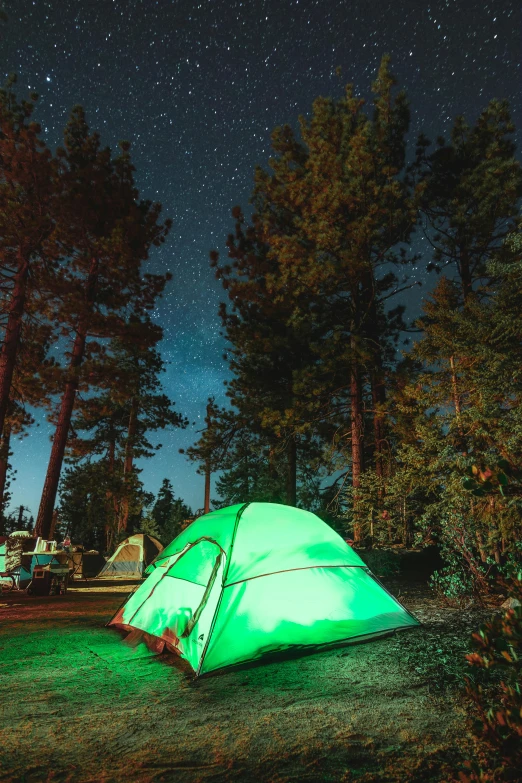 the light of a tent illuminates a night sky above a forest