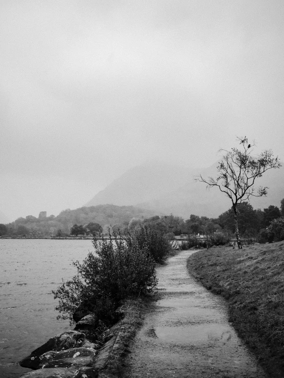 there is a bird standing alone by the river