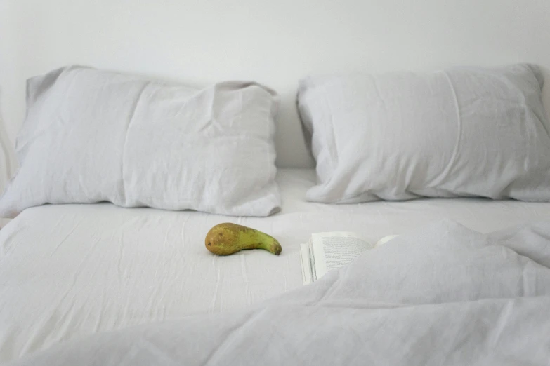 a piece of fruit that is on top of a bed