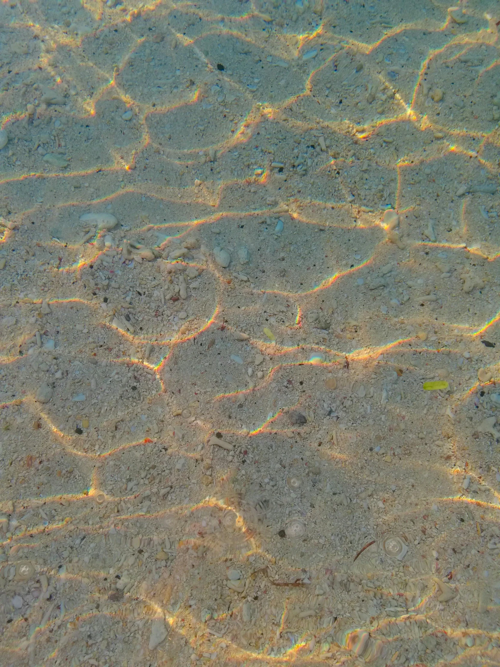 small circles drawn in the sand on a beach