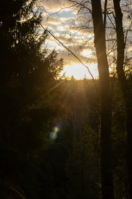 a sunset behind some trees with a building in the background