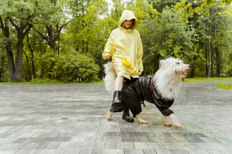 a woman walking with a dog wearing an rain coat