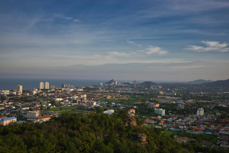 a large city with trees surrounding it