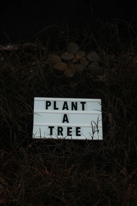 sign with plant and tree printed on it in the dark