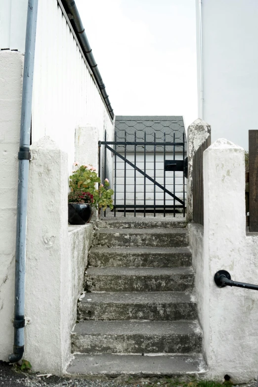 there is some stairs with plants going up and down