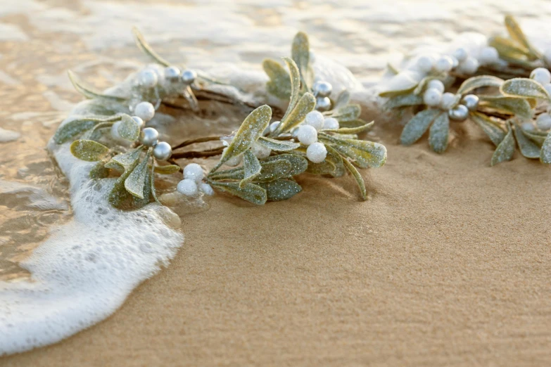 the flowers are on the beach and in the water