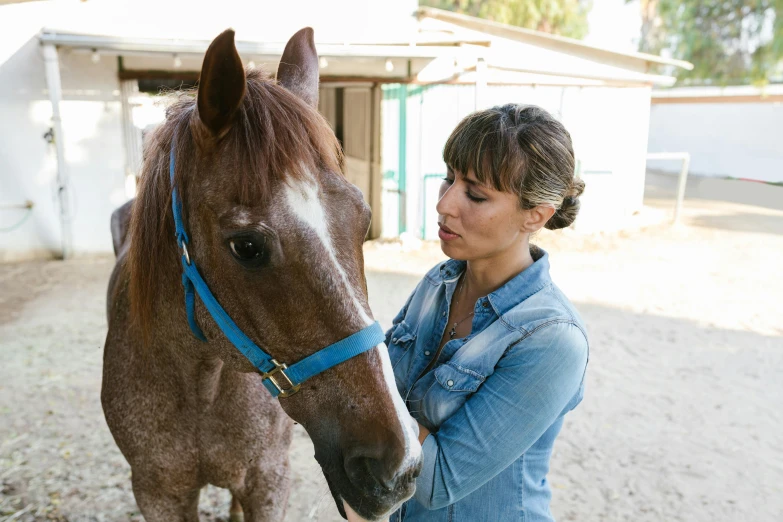 there is a woman petting the nose of a brown horse