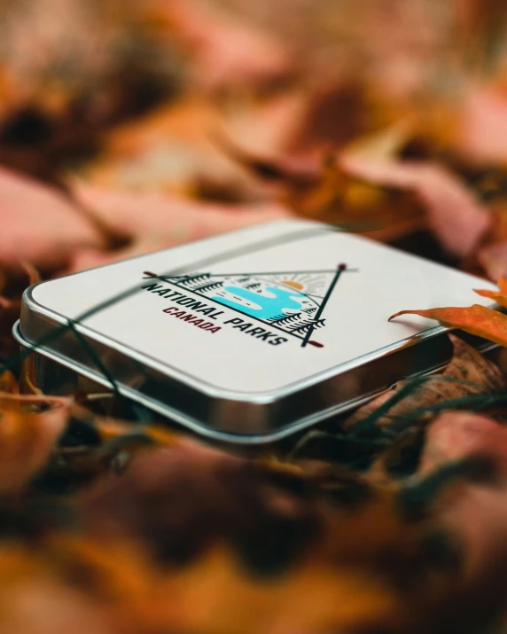 a square metal object on some leaves