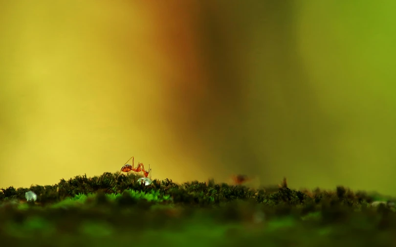 a small white and red house on a hill