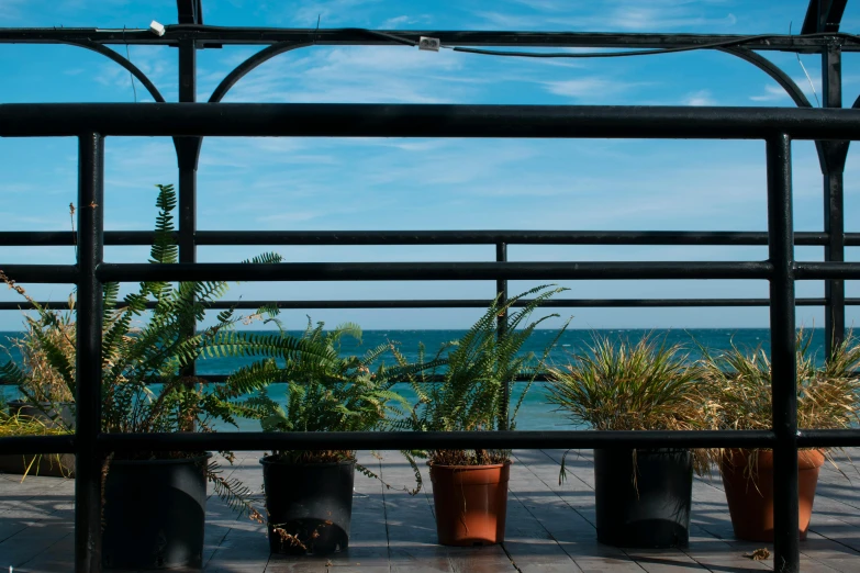 a deck overlooks the ocean on a sunny day