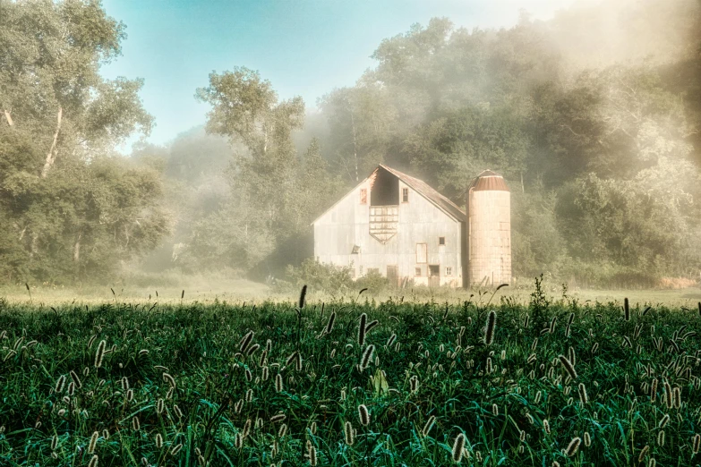 fog hangs low over an old farm house in a field