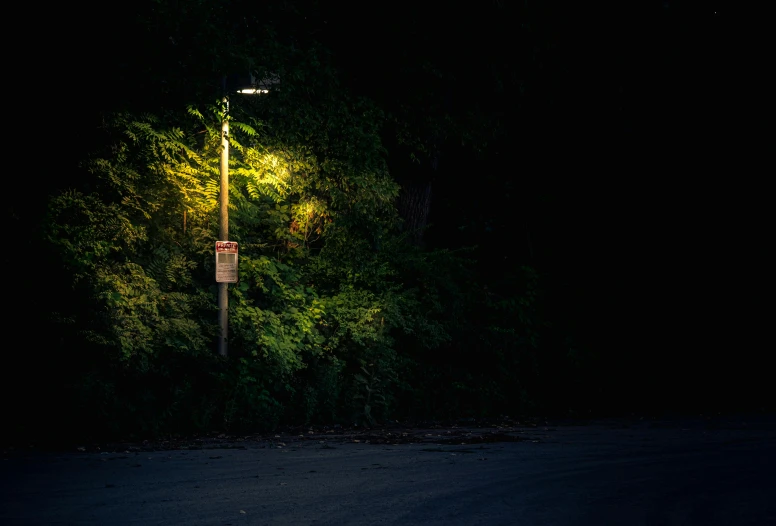 some street lights hanging above a dark street