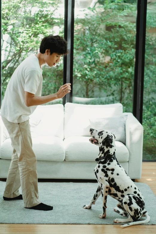 a man playing with a dalmatian dog inside a living room