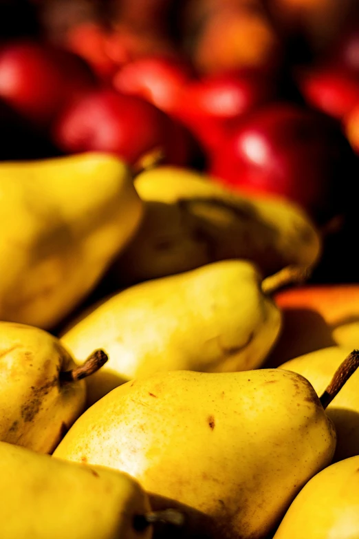 a close up image of several apples and pears