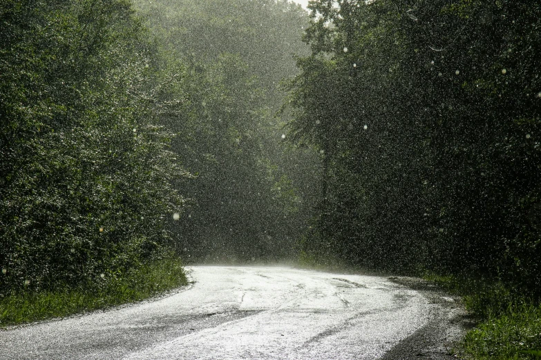 a dark road with snow falling from the trees