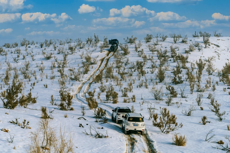 a line of trucks are driving through the snow