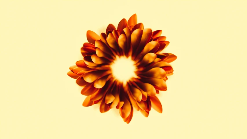 a large, abstract picture of an orange flower