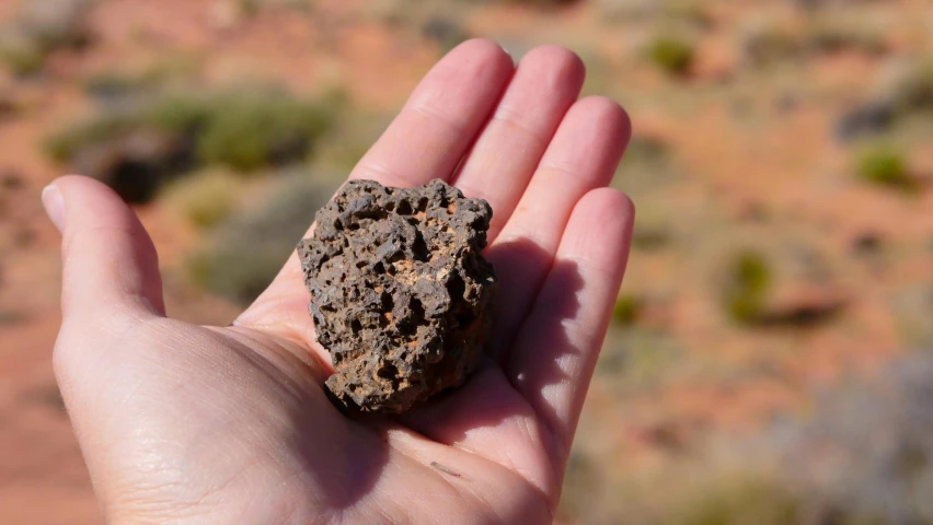 a hand holding a rock in the palm