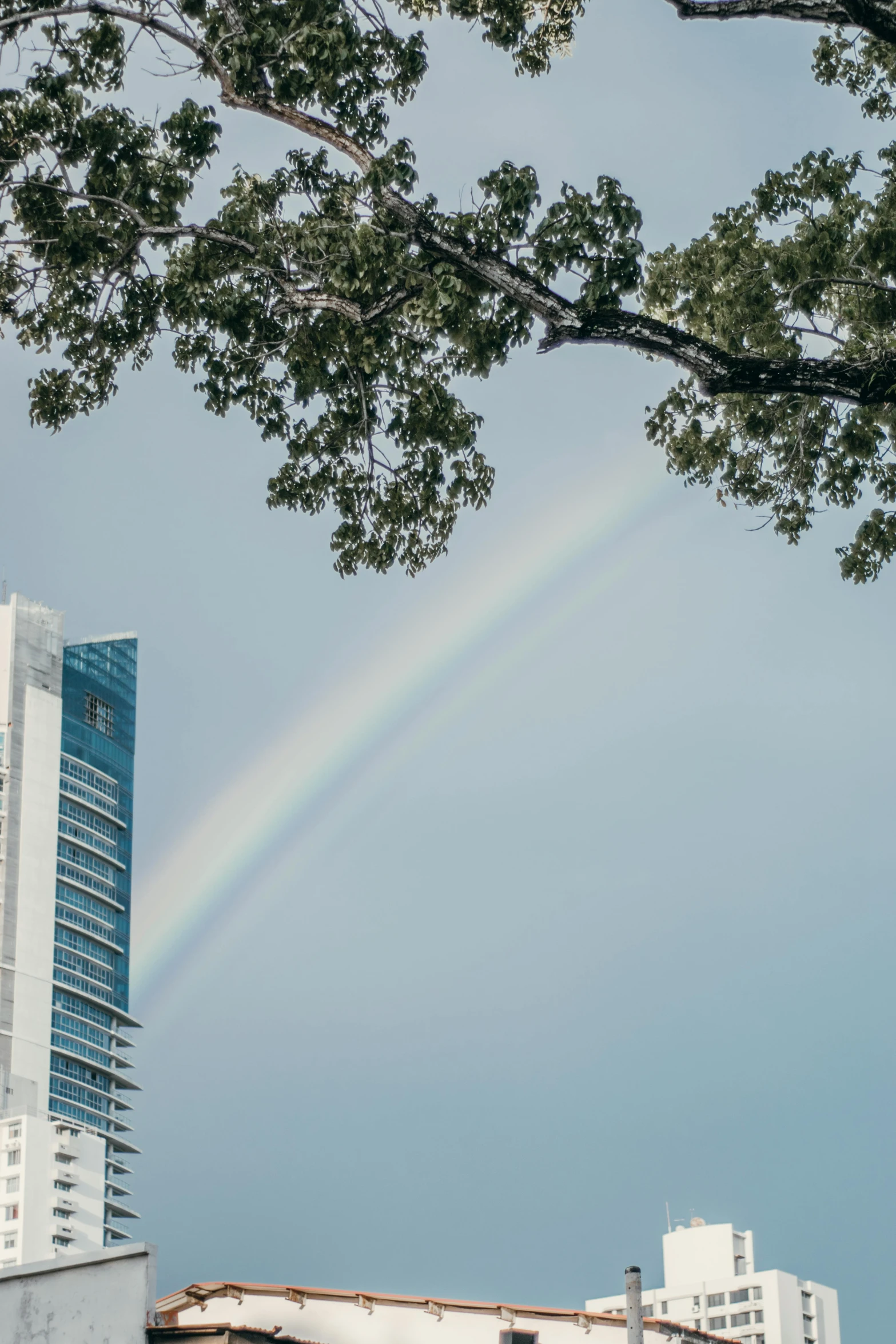 a rainbow is in the middle of the sky behind buildings