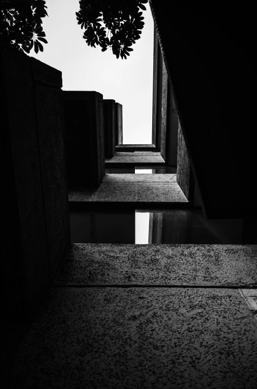 an abstract pograph of a person and trees in black and white