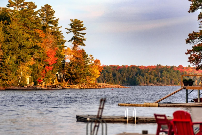 a boat dock on a small lake near trees