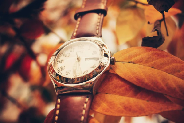 an old, white watch on brown leather strap