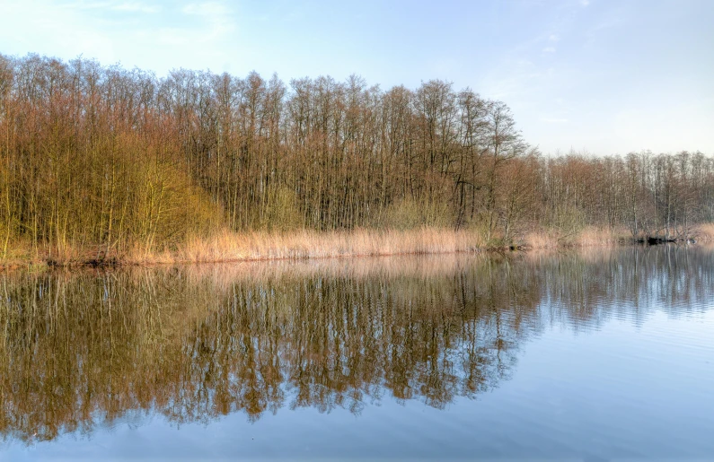 the lake is still calm with the water and trees in it