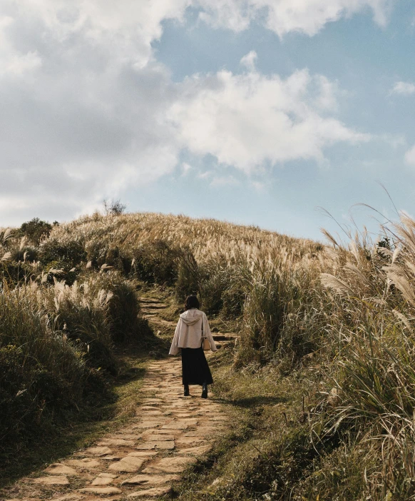 a person walks down a pathway between tall grass