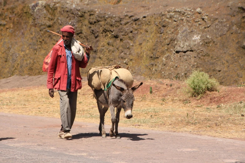 a man walking down the road with a donkey and a stick