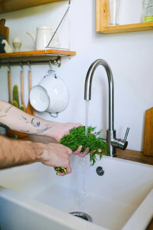 a person washing up plants in a sink