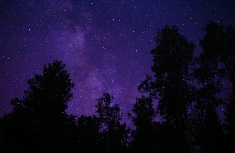 purple pograph of night sky with stars and trees