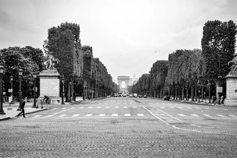 black and white pograph of trees lining the street