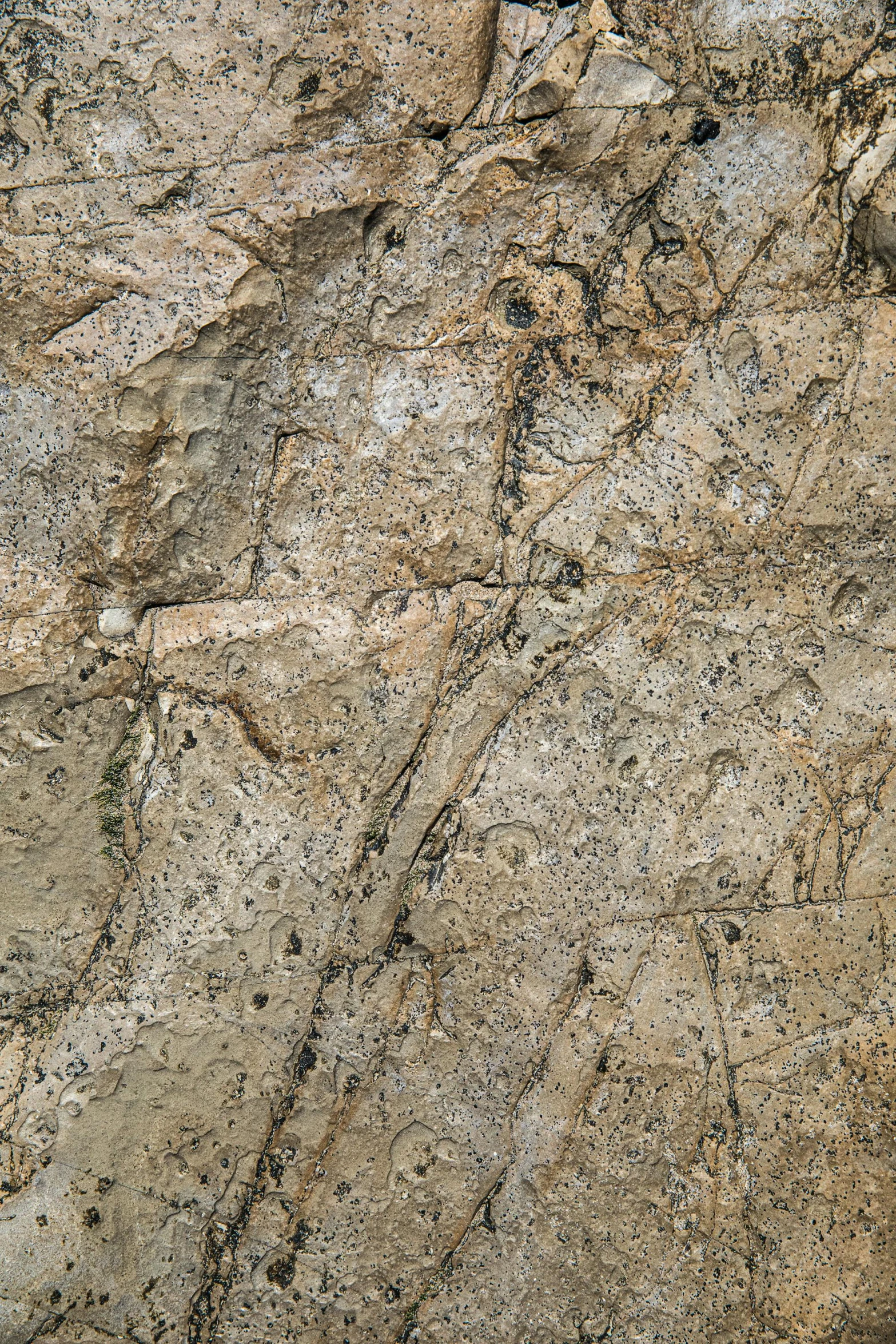 a po of rock wall with brown colors