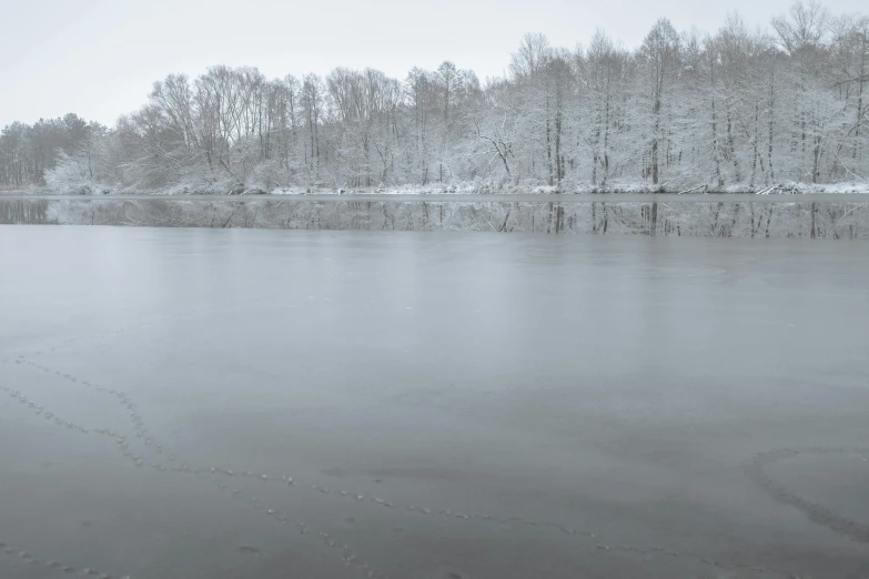 the water is frozen and there are footprints in it