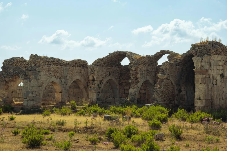 the ruins of an old building are brown and green