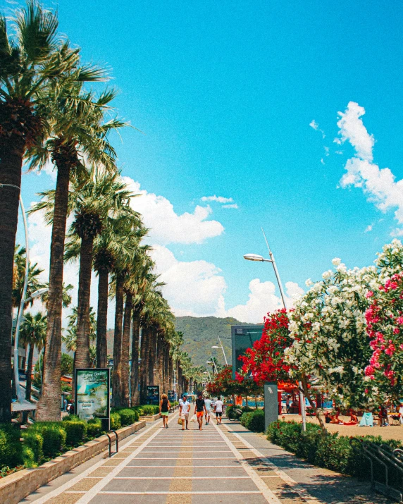 a view of the outside of a mall lined with trees